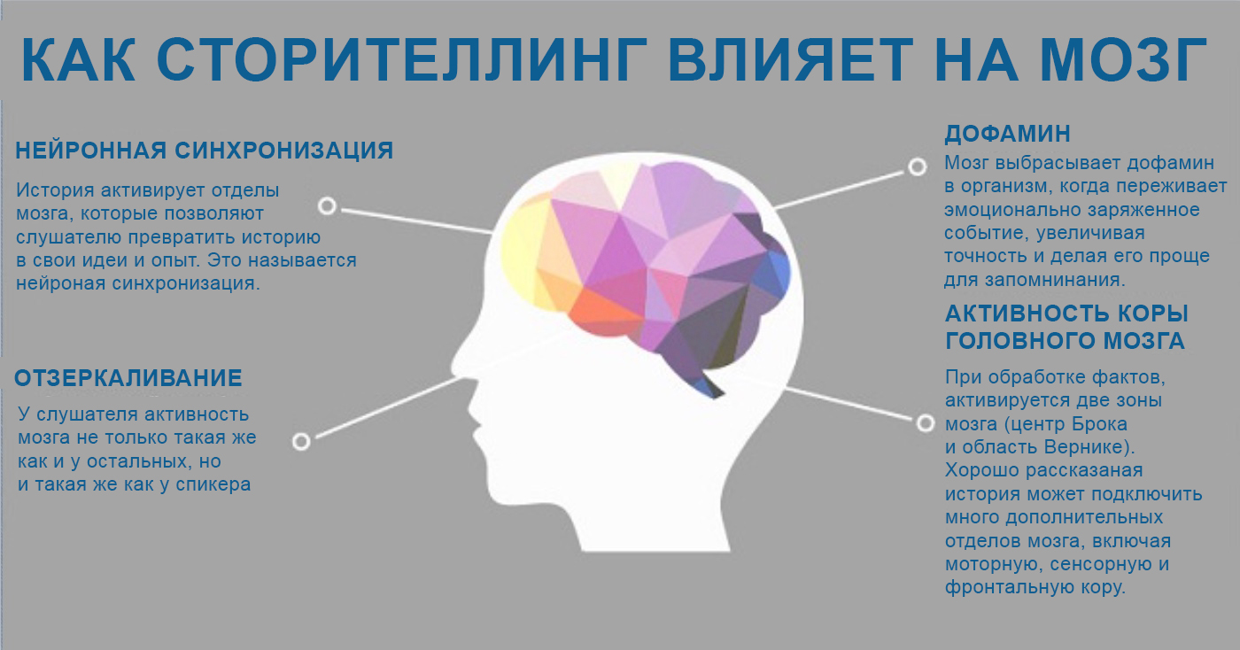 Активности точки с точки зрения. Наивысшая активность мозга. Высокая активность мозга. Влияние на активность мозга. Влияет на активность мозга.